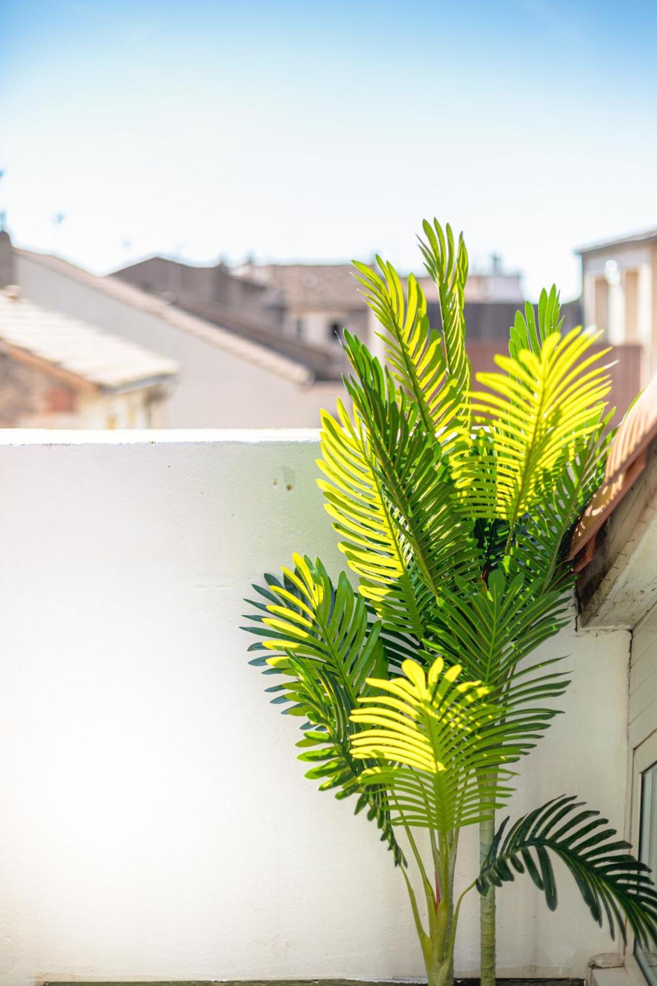 Le Albert 1Er Beziers Appartements Tout Equipes Εξωτερικό φωτογραφία