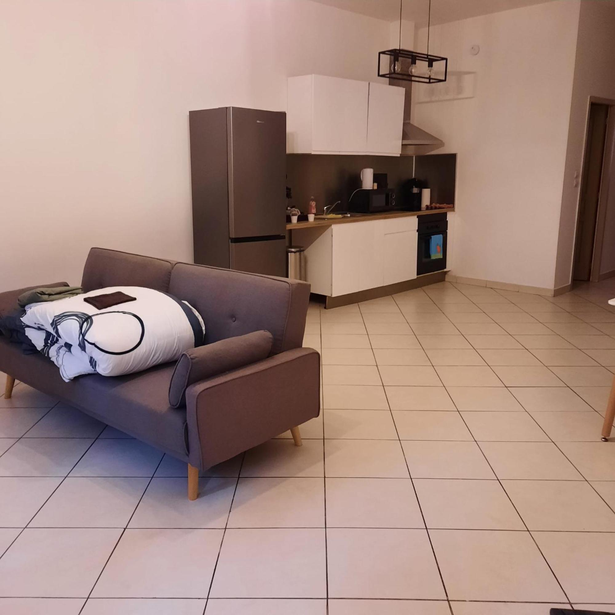 Le Albert 1Er Beziers Appartements Tout Equipes Εξωτερικό φωτογραφία