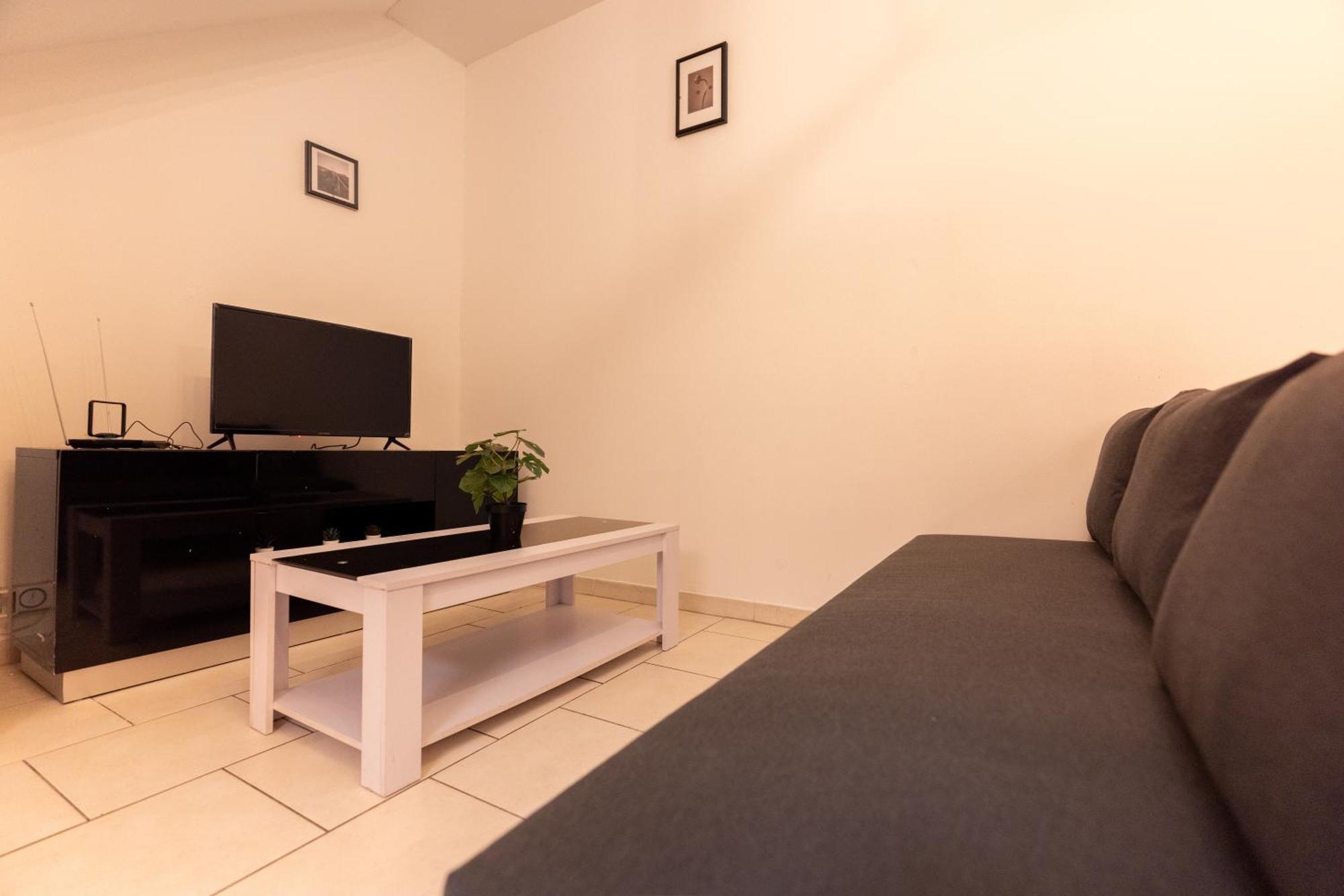 Le Albert 1Er Beziers Appartements Tout Equipes Εξωτερικό φωτογραφία